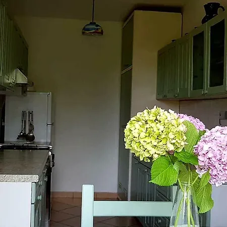 Apartman Adelia