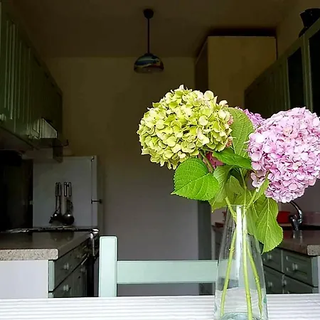 Apartman Adelia *