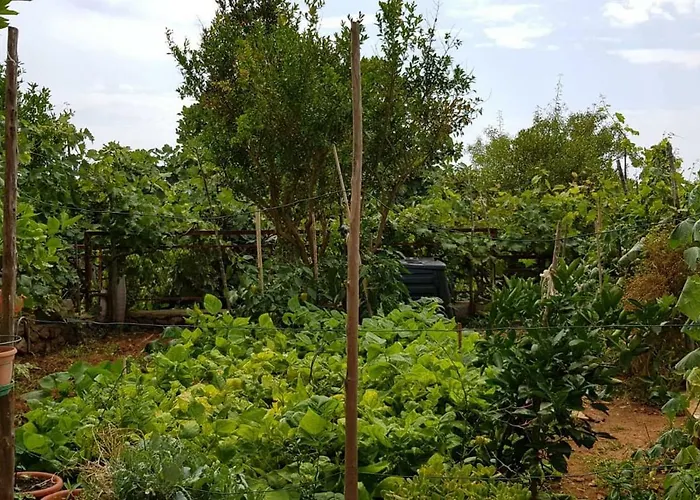 Adelia Appartement Mali Lošinj