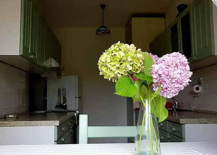 Appartement Adelia *